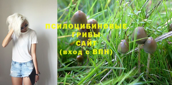 прущая мука Армянск