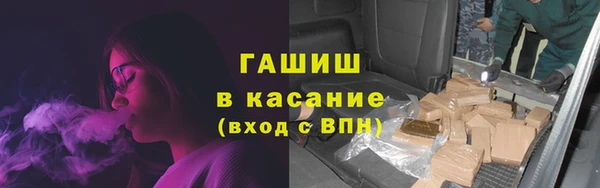эйфоретик Аркадак