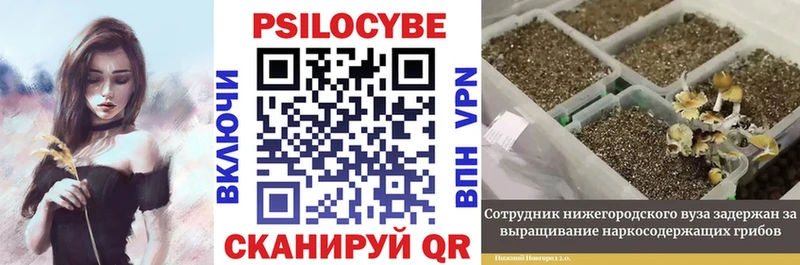 Псилоцибиновые грибы мухоморы Купить Владикавказ